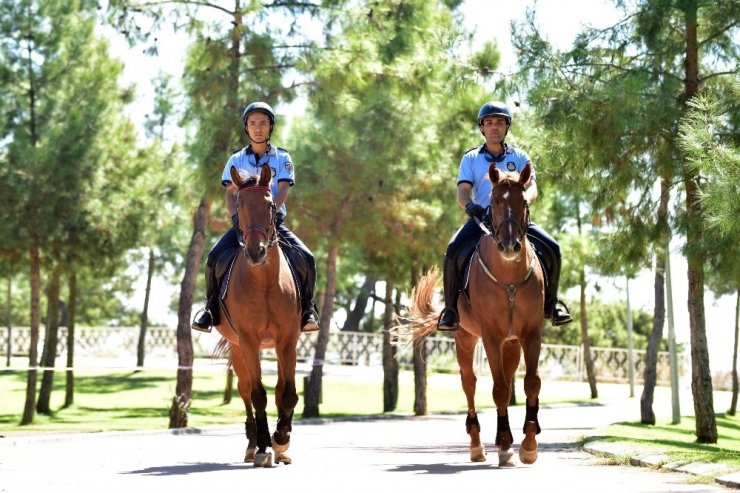 Antalya’da ‘Atlı Zabıta Birimi’ Göreve Başlıyor