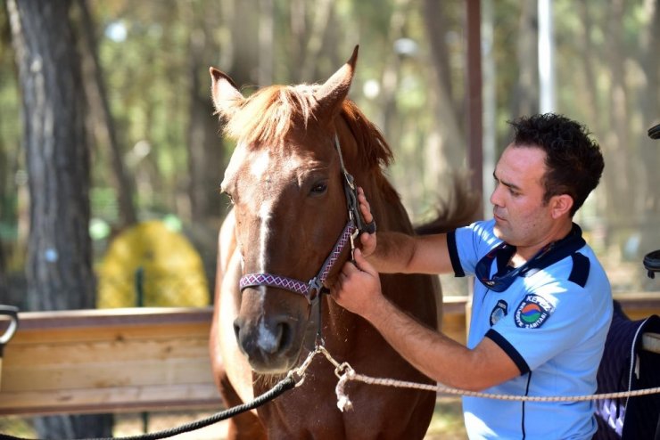 Antalya’da ‘Atlı Zabıta Birimi’ Göreve Başlıyor
