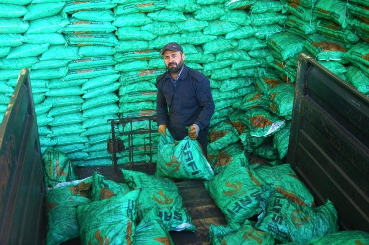 Kömür Fiyatları Cep Yakıyor