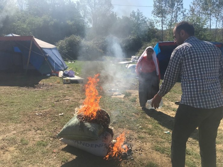 Fiyatları Protesto Etmek İçin Fındığı Ateşe Verdiler