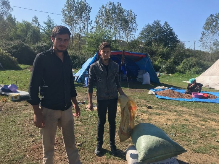 Fiyatları Protesto Etmek İçin Fındığı Ateşe Verdiler
