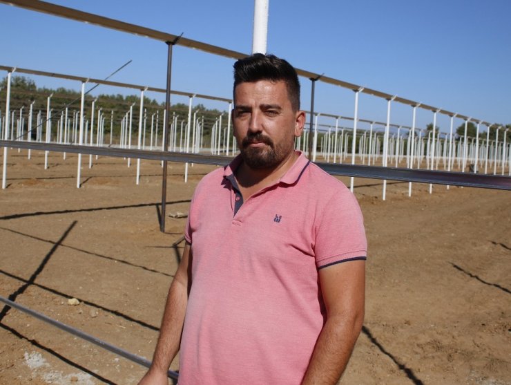 Domates Fideleri Rusya İçin Toprakla Buluştu