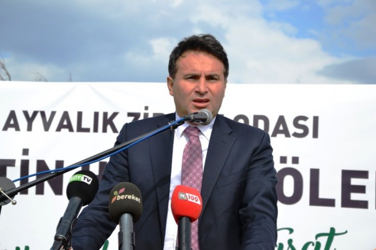 Zeytin Hasadı Törenle Başladı