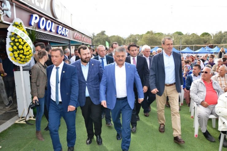 Zeytin Hasadı Törenle Başladı