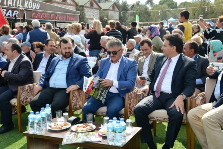 Zeytin Hasadı Törenle Başladı