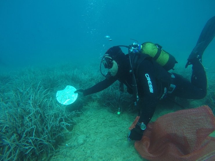 Bodrum’da Tatilcilerden Geri Kalanlar: Denizden 170 Çuval Çöp Çıktı