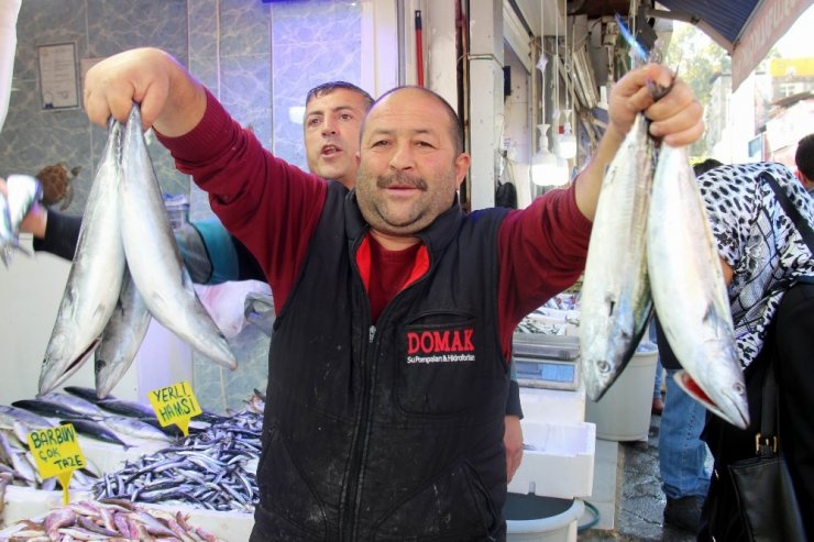 Karadeniz’de Palamut Sürprizi