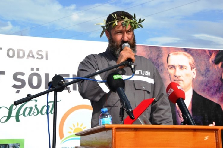 Zeytin Hasadı Törenle Başladı