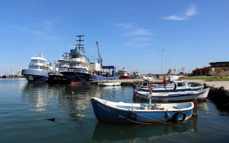 Karadeniz’de Palamut Sürprizi
