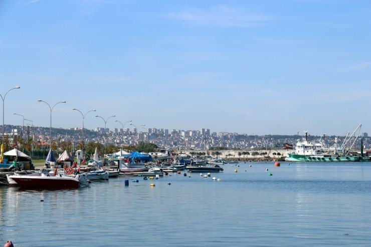 Karadeniz’de Palamut Sürprizi