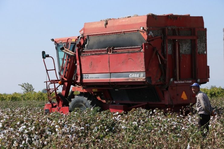 Makineleşme Pamuğa Olan İlgili Arttırdı