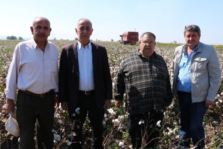 Makineleşme Pamuğa Olan İlgili Arttırdı