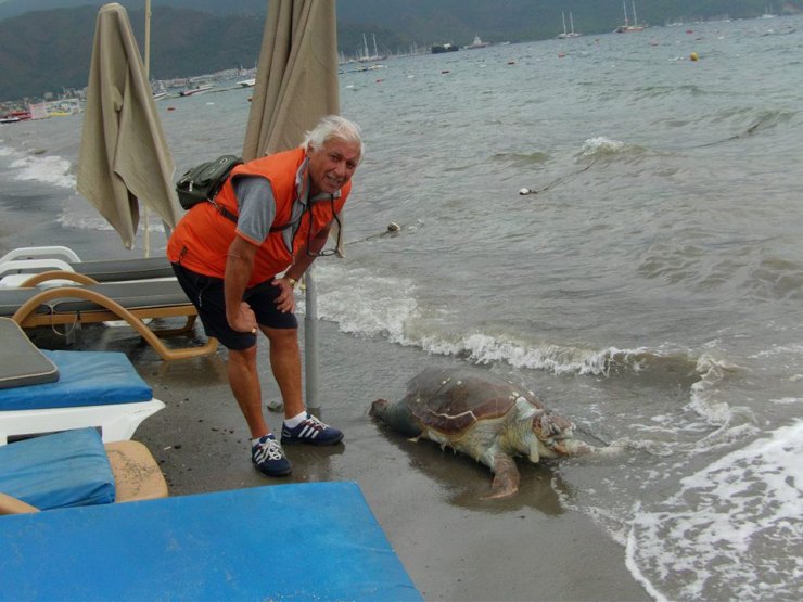 Teknenin Pervanesinden Yara Alan Caretta Caretta Ölüsü Sahile Vurdu