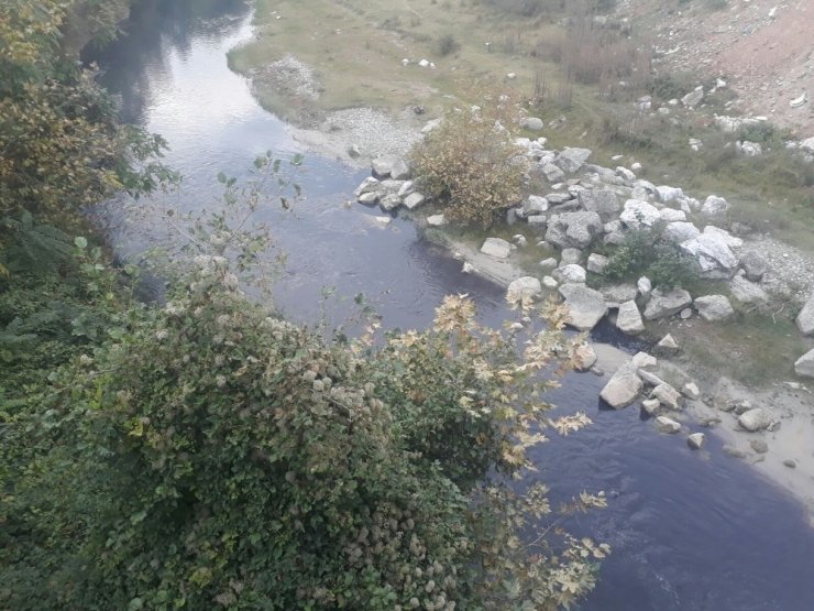 Mudurnu Deresi Kimyasal Atıklarla Kirletiliyor