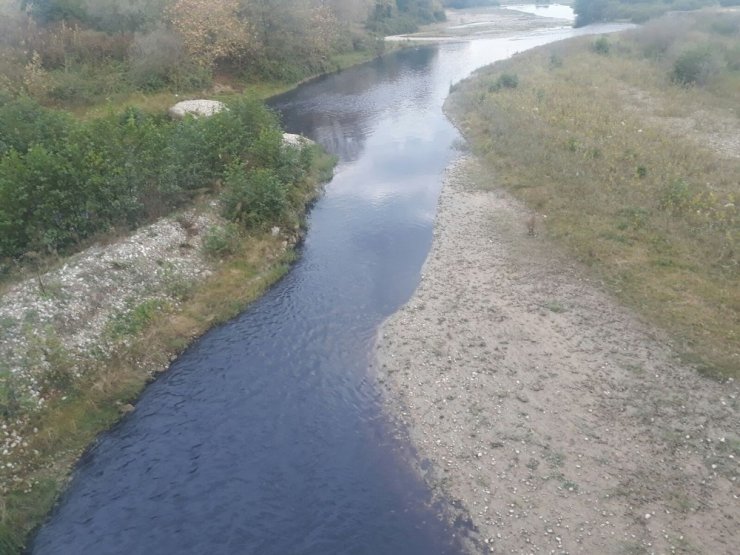 Mudurnu Deresi Kimyasal Atıklarla Kirletiliyor