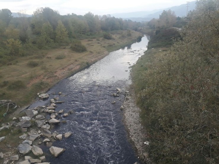 Mudurnu Deresi Kimyasal Atıklarla Kirletiliyor