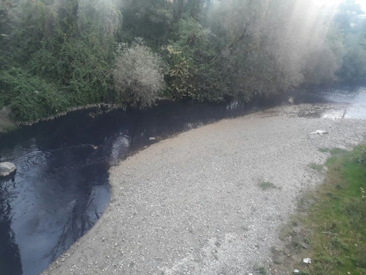 Mudurnu Deresi Kimyasal Atıklarla Kirletiliyor