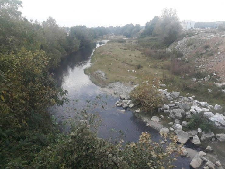 Mudurnu Deresi Kimyasal Atıklarla Kirletiliyor