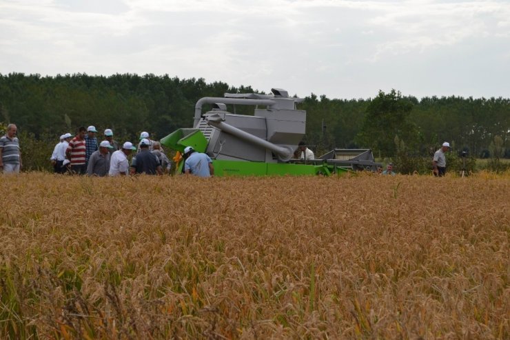 Samsun Bazı Tarım Ürünlerinde Türkiye 1’incisi