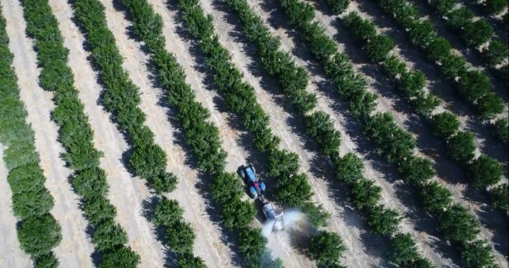 Limon Ve Mandalinanın "Fahiş Fiyat" Yolculuğu