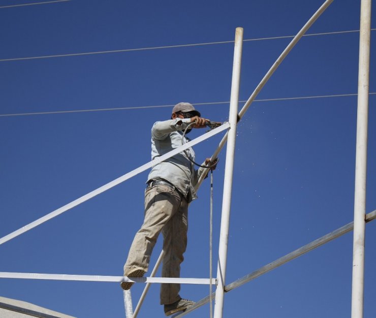 Domates Fideleri Rusya İçin Toprakla Buluştu