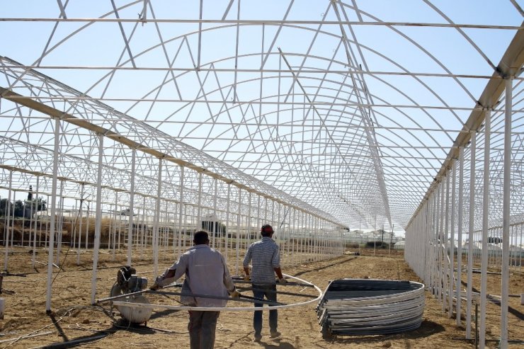 Domates Fideleri Rusya İçin Toprakla Buluştu