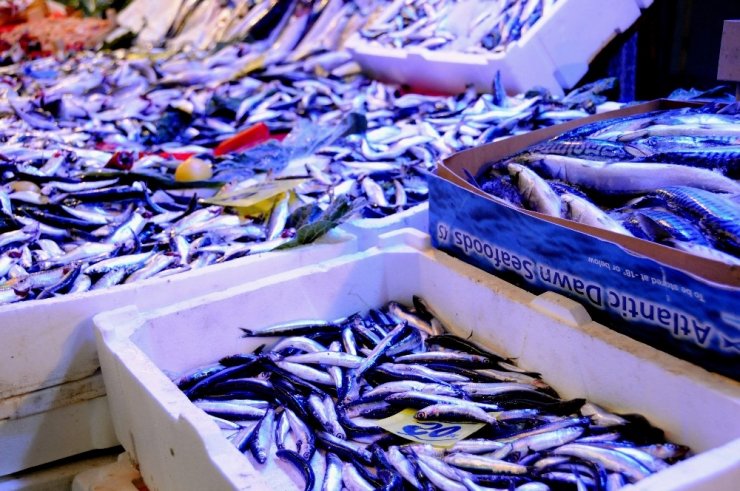 Hamsinin Fiyatını Gören Tezgahtan Kaçıyor