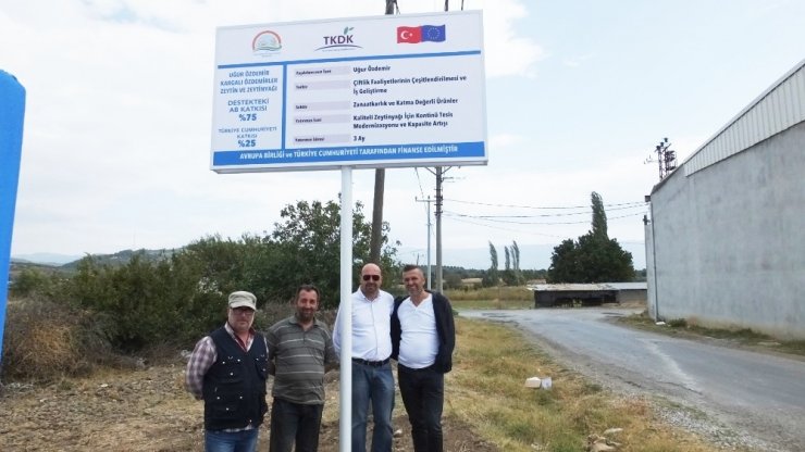 Burhaniye’de Devlet Desteği İle Zeytinyağı Fabrikaları Yenileniyor