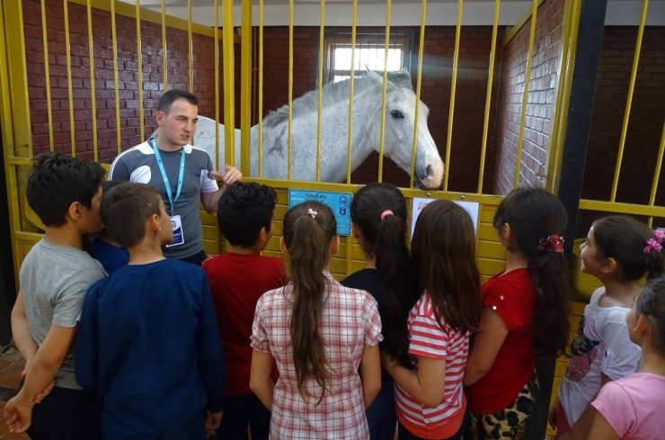 Atlı Eğitim Merkezi, Yeni Eğitim Dönemine Hazır