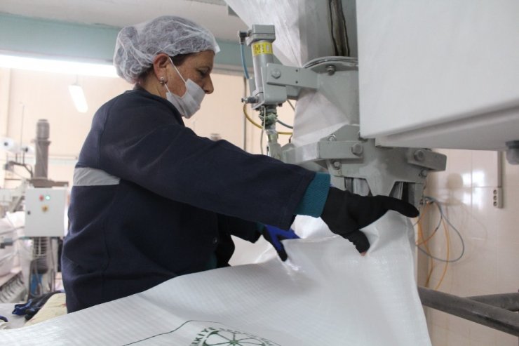 Pancarın “Tatlı” Yolculuğu Başladı