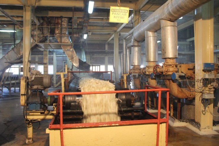 Pancarın “Tatlı” Yolculuğu Başladı