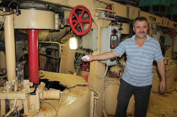 Pancarın “Tatlı” Yolculuğu Başladı