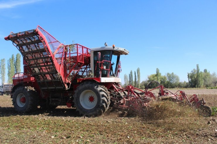 Pancarın “Tatlı” Yolculuğu Başladı