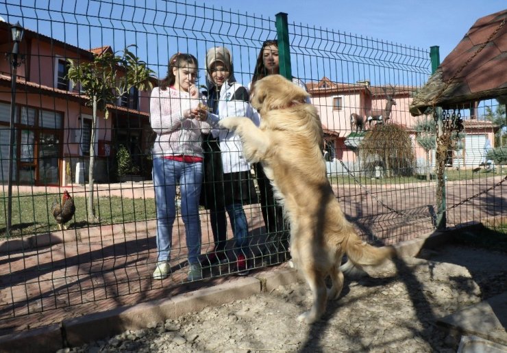Devletin Desteği Engellileri Yeniden Hayata Bağladı