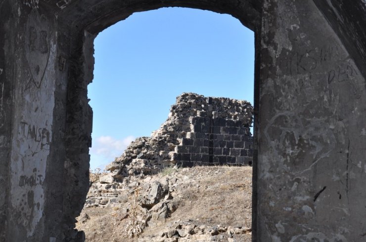 Arap Tabya Hayvan Barınağı Olarak Kullanılıyor