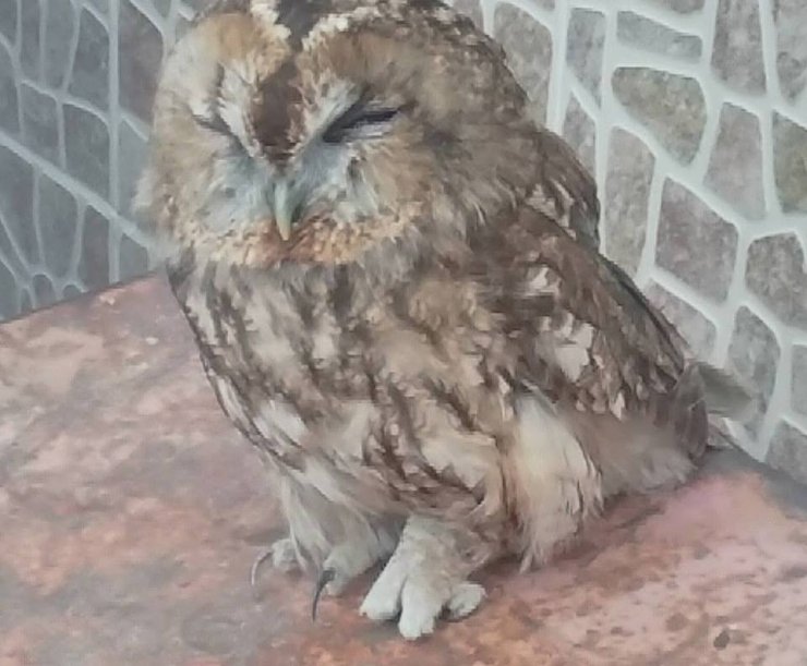 Avcılar’dan Örnek Davranış