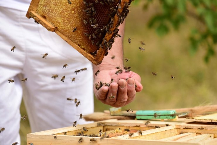 Çocukluk Hayalini Emekli Olduktan Sonra Gerçekleştirdi