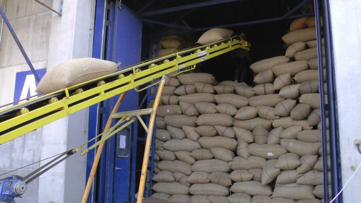 Fındığını Tmo’ya Verenler Uzun Kuyruklar Oluşturdu