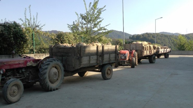 Fındığını Tmo’ya Verenler Uzun Kuyruklar Oluşturdu