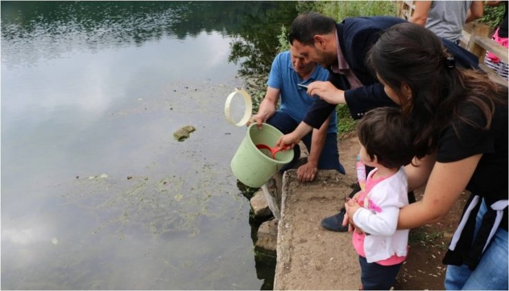 Ordu Yaban Hayatına Bin Sülün