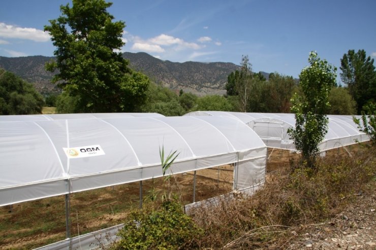 Orman Ve Su İşleri Başkanlığı Eskişehir’deki Orman Mahallelerinde Yaşayan Vatandaşlara Destek