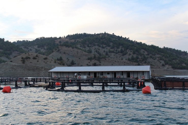 Tkdk’dan Kahramanmaraş’a 100 Milyon Lira Hibe Ödemesi