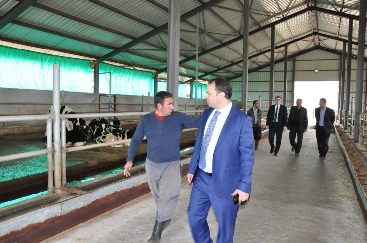 Tkdk’dan Kahramanmaraş’a 100 Milyon Lira Hibe Ödemesi