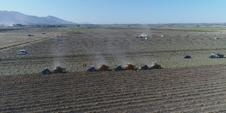 Sıcaklar Yer Fıstığını Vurdu