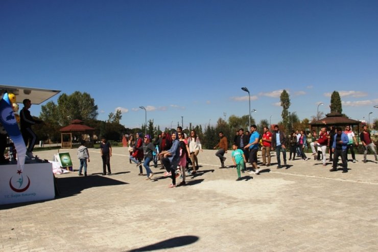 Van’da "Dünya Yürüyüş Günü" Etkinliği