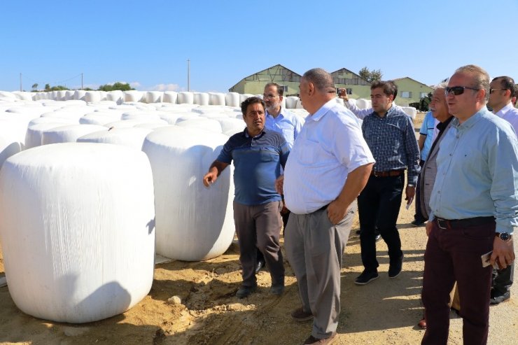 Pamuk, Antbirlik’te Masaya Yatırıldı