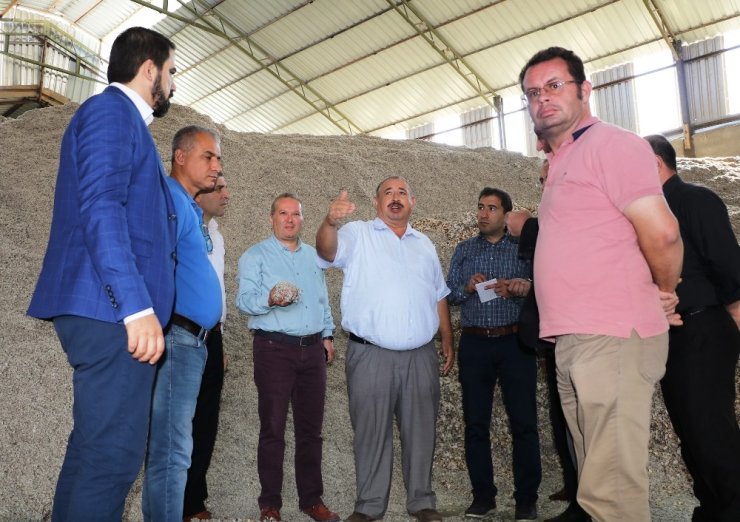 Pamuk, Antbirlik’te Masaya Yatırıldı