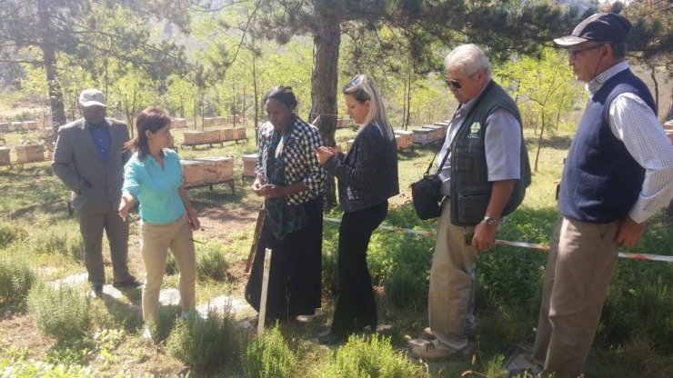 Kenyalılara Arıcılık Dersi