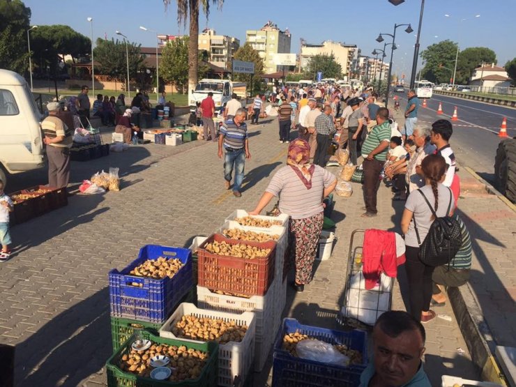 İncir Fiyatlarına Hadise Dopingi