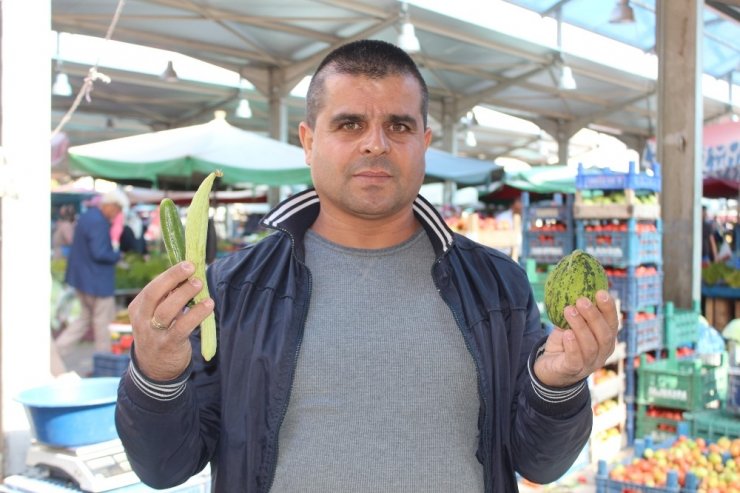 Niğde’de Turşuluk Telaşı Yaşanıyor